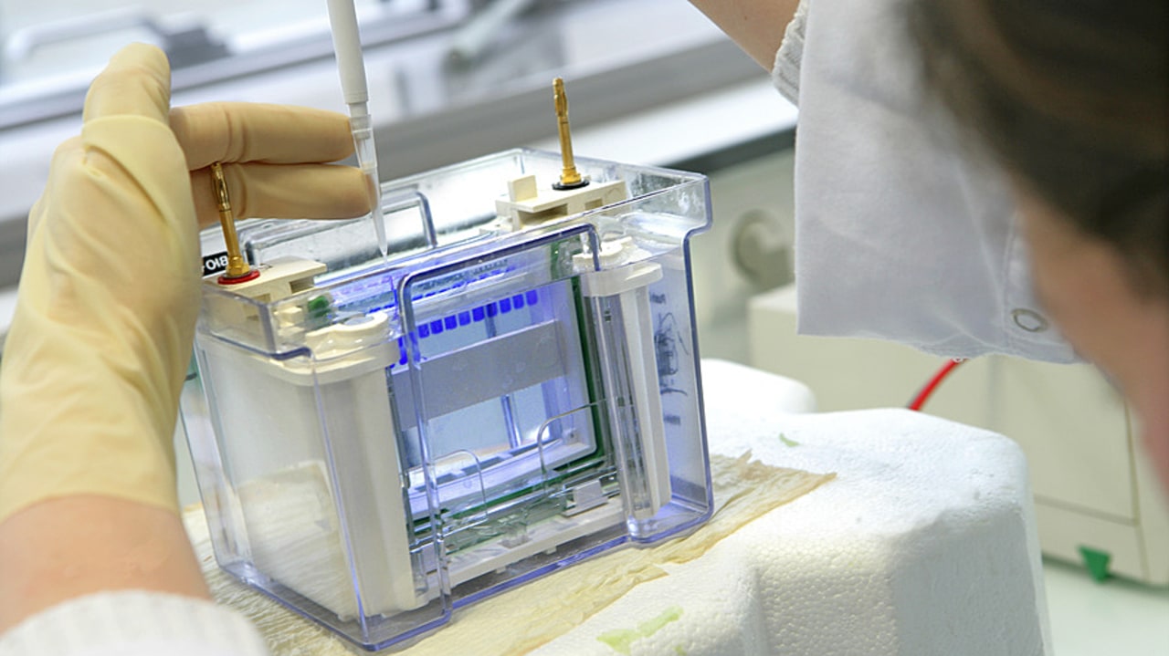 Simple, objectif et transparent. Ces trois éléments sont à considérer pour l'évolution du système d'interrogation de gestion et d'analyse pour des publications scientifiques Sigaps. (Chassenet/BSIP)