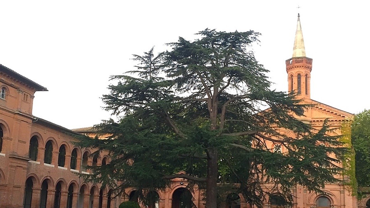 Le CH Gérard-Marchant, établissement spécialisé à Toulouse, est l'un des principaux acteurs concernés par le futur plan de refondation de la psychiatrie en Haute-Garonne. (Caroline Cordier/Hospimedia)
