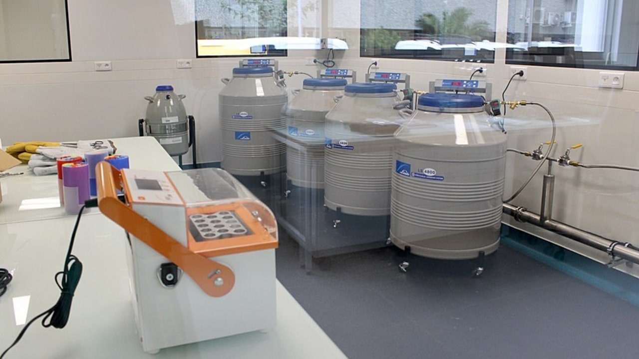 Des cuves d'azote liquide permettent la cryoconservation des gamètes dans le nouveau centre dédié à la fertilité en Corse. (CH Bastia)