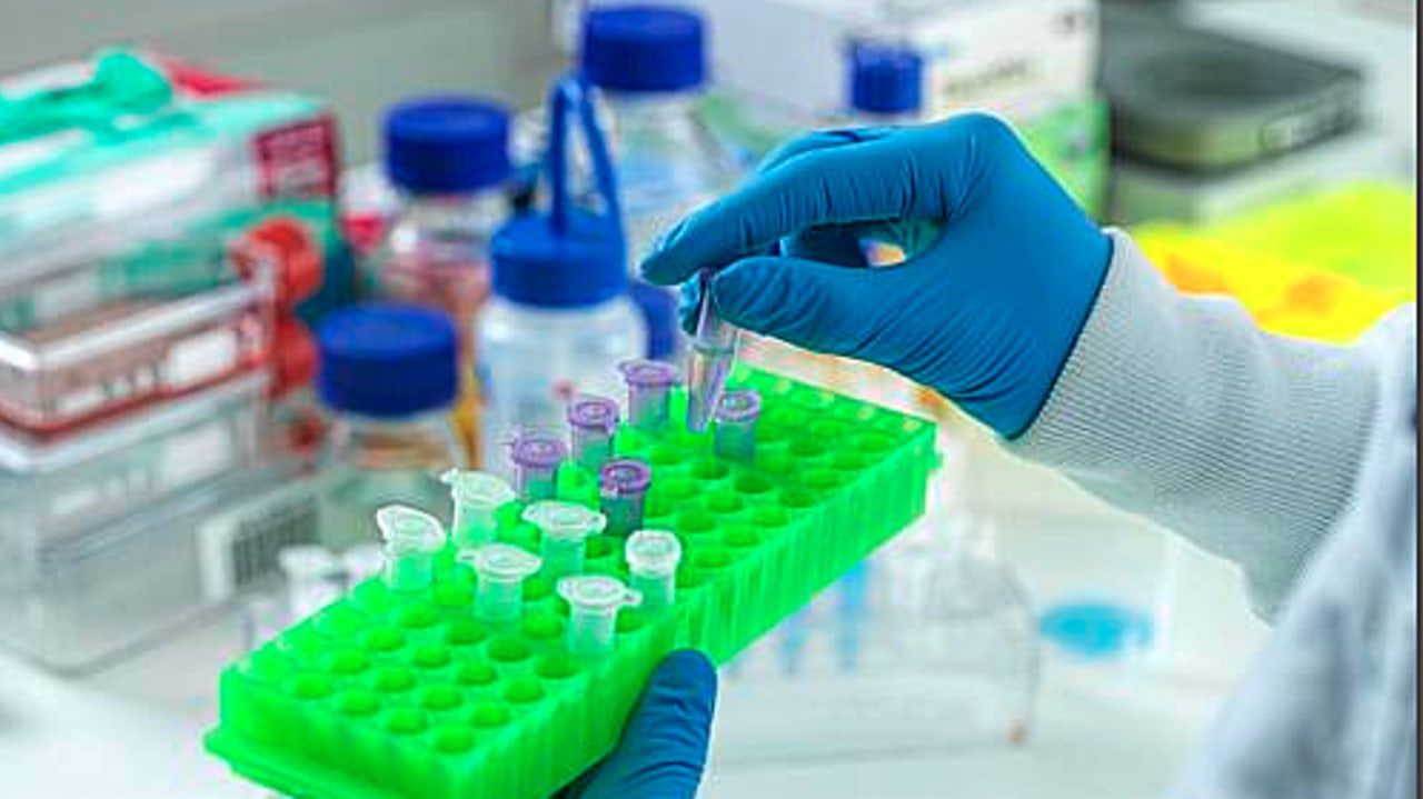 La mise en valeur des collections biologiques existantes ou à venir vise notamment à augmenter la compétitivité de la recherche académique et industrielle française à l'international. (SPL/BSIP)