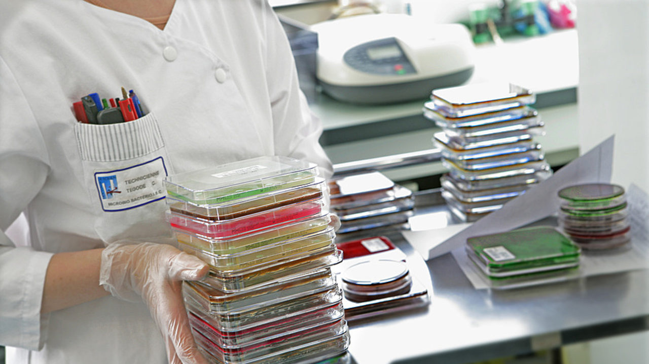 Les antibiogrammes sont réalisés quotidiennement dans les laboratoires hospitaliers pour isoler les bactéries, les analyser et déterminer pour quel antibiotique elles sont sensibles ou résistantes. (Chassenet/BSIP)
