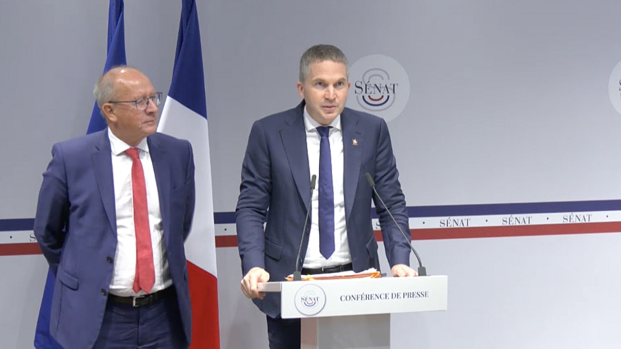 Les sénateurs ont publié plusieurs recommandations dédiées exclusivement au Health data hub. (Capture d'écran Sénat)