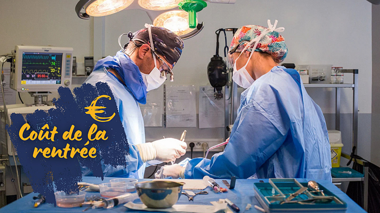 Les étudiants doivent acheter du matériel dentaire. Dans certaines universités le coût dépasse les 2 000 €. (Burger/Phanie)