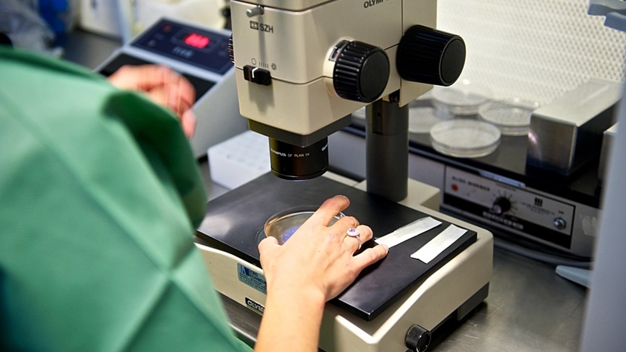 Pour l'AP-HP, l'obligation de postage dans un registre répond à des exigences éthique, scientifique et de santé publique. Il s'agit aussi d'une nécessaire contrepartie de l'engagement des patients dans les recherches. (Lionel Souci/BSIP)