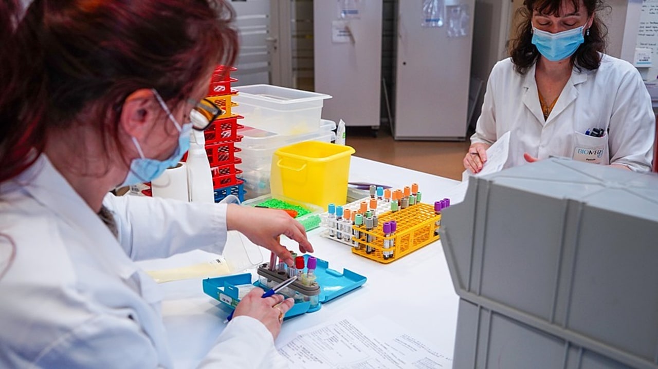 L'expérimentation positionne trois laboratoires hospitaliers comme des sites spécialisés pour analyser les échantillons recueillis dans d'autres laboratoires de biologie médicale. (Tremelet/Image point FR/BSIP)