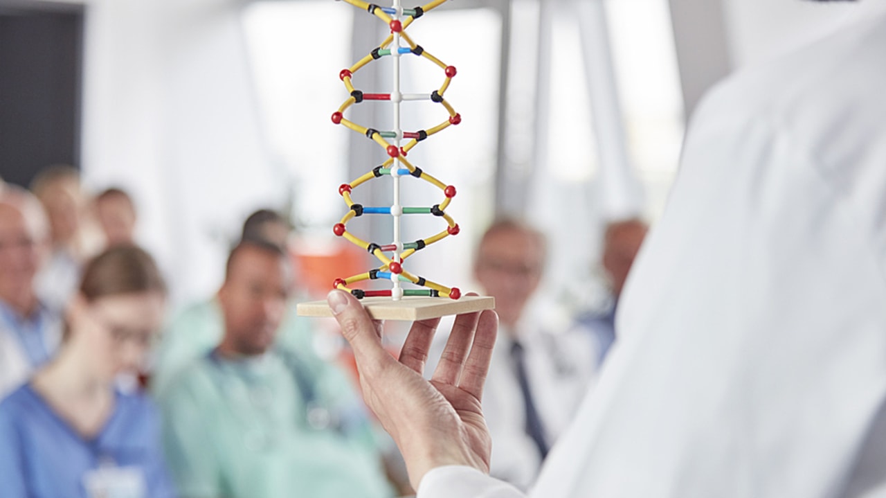 Le nouveau contrat d'objectif et de performance entre l'ANR et le ministère de l'Enseignement supérieur fixe six priorités stratégiques structurantes. (SPL/BSIP)