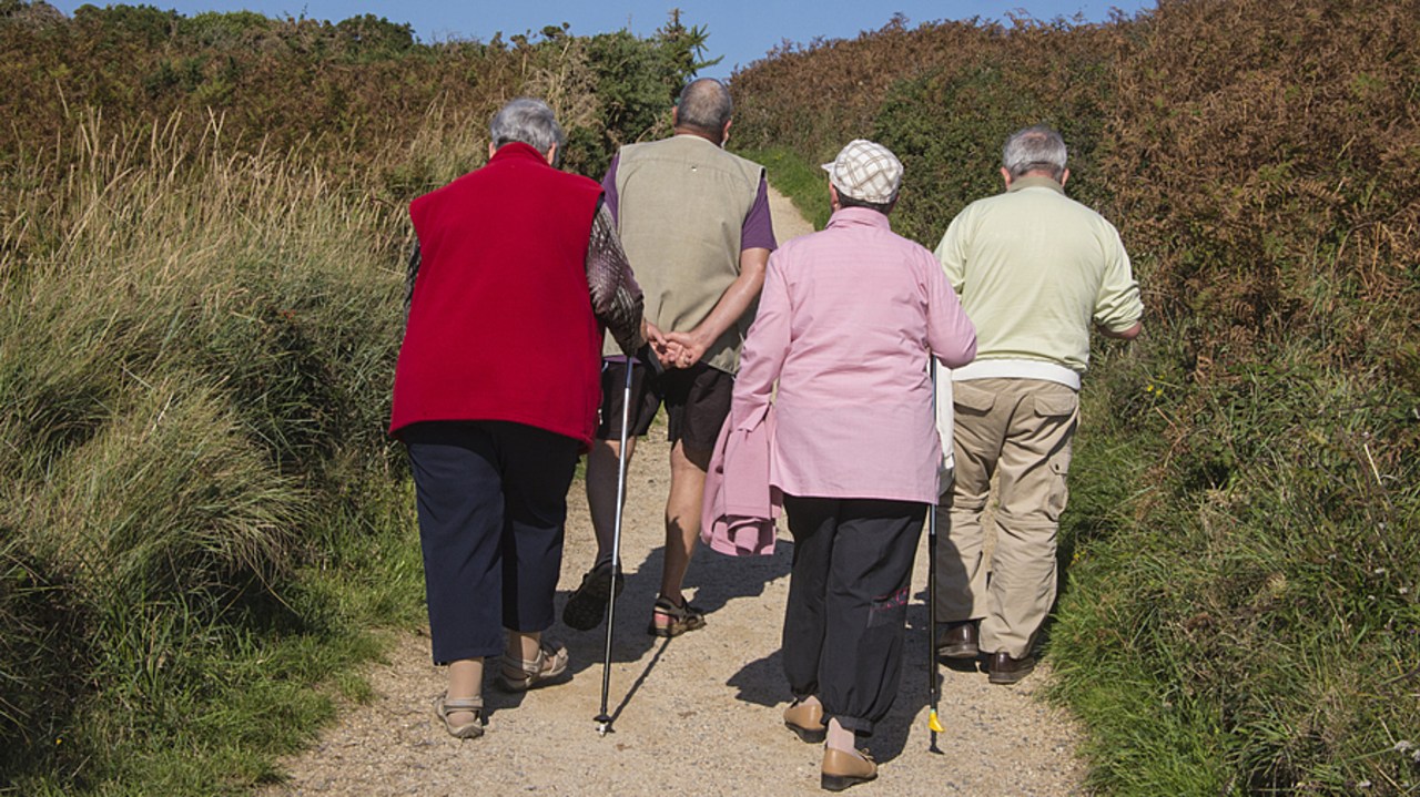 La prescription sociale repose sur quatre piliers parmi lesquels de l'activité permettant de créer du lien comme des promenades en nature, des cours de cuisine, du jardinage… (May/BSIP)