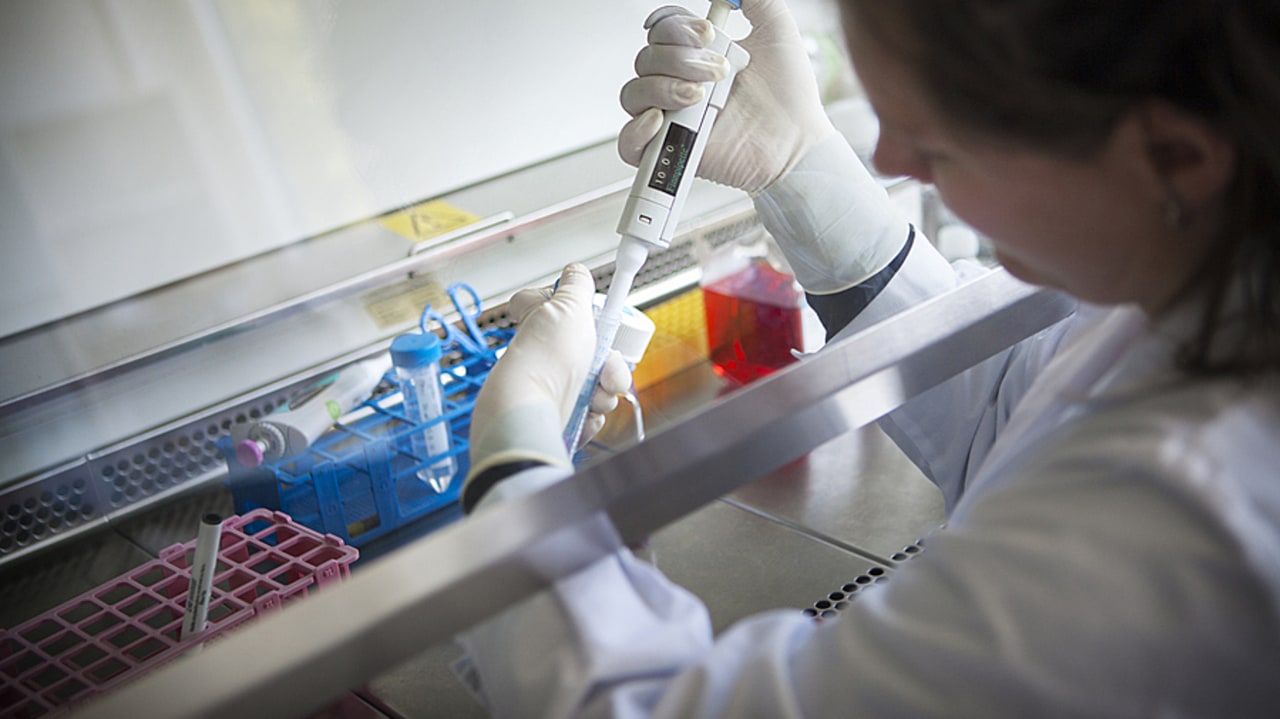 Meilleur accès au marché, harmonisation réglementaire, accélération des procédures d'essais cliniques… Le texte initial du Biotech act, actuellement en discussion, est ambitieux. (Amélie Benoits. Image Point FR/BSIP)