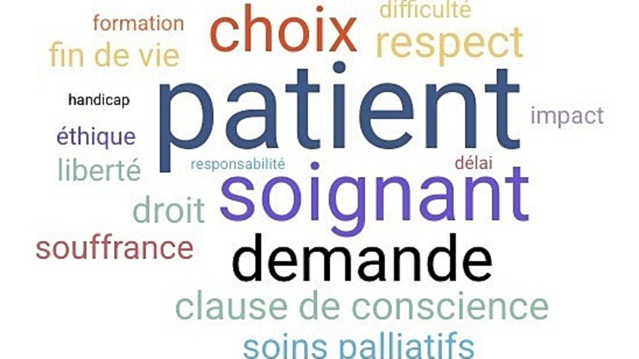 Les lecteurs d'Hospimedia ont été sollicités pour répondre à un questionnaire. Il comprenait une question ouverte. Ces mots figurent parmi les plus fréquemment cités. (Hospimedia)