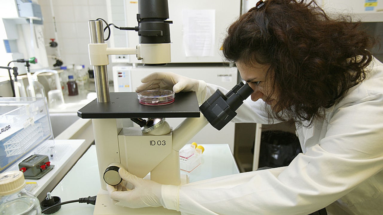 34,9% de citations supplémentaires, en moyenne, sont relevées pour une publication partageant ses données en recherche médicale. (Deloche/BSIP)