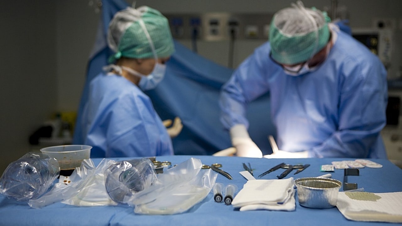 Différents implants et prothèses sont concernés par une radiation de la liste en sus en 2027. (Amélie Benoist/Image point FR/BSIP)