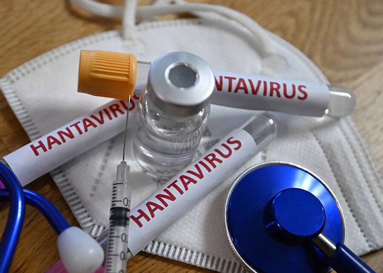 Le Gouvernement français a placé sous surveillance hospitalière les passagers considérés à risque après l'apparition d'un foyer d'hantavirus Andes. (Mourad Allili/Sipa)
