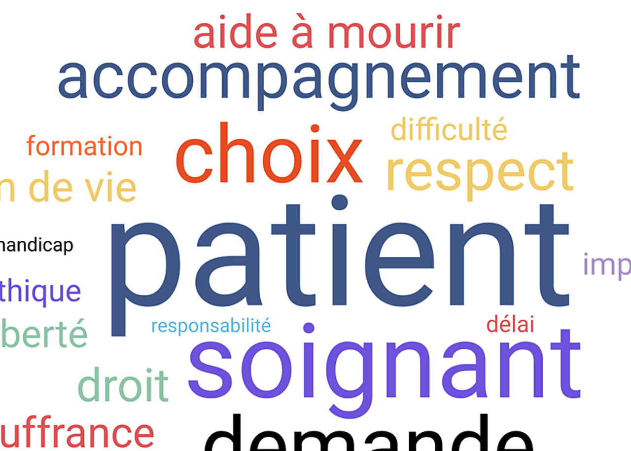 Les managers s'inquiètent plus que les soignants des effets d'une loi sur l'aide à mourir