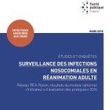 La surveillance des infections nosocomiales est une priorité en réanimation, secteur à haut risque du fait de l'état critique des patients et de leur exposition aux dispositifs invasifs. - Droits réservés — Santé publique France