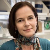 Crédit photo : Didier Rouget/Institut Pasteur - Droits réservés