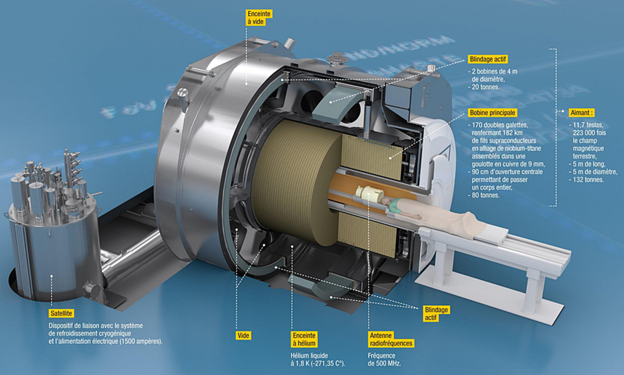 L'IRM de Saclay fournira des images du cerveau cent fois plus précises que les appareils actuellement présents dans les hôpitaux.