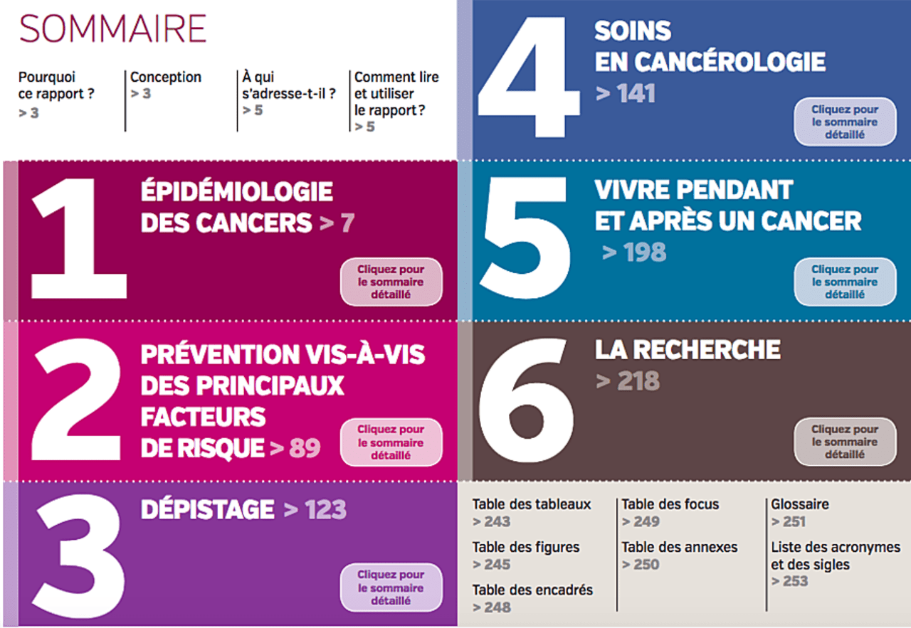 Le rapport annuel "Les cancers en France" se veut interactif depuis 2017. Sur cette copie d'écran, on retrouve les différents chapitres du document.