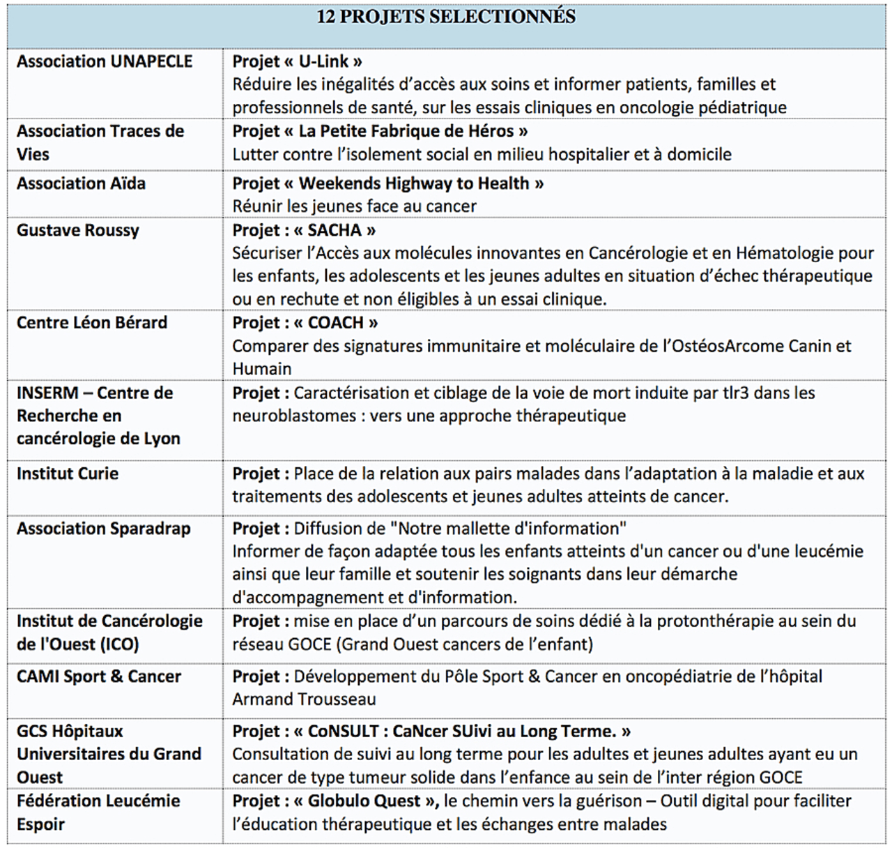 La Fondation des entreprises du médicament a dégagé cette année un financement de 600 000 euros à des projets en faveur de l'oncopédiatrie.