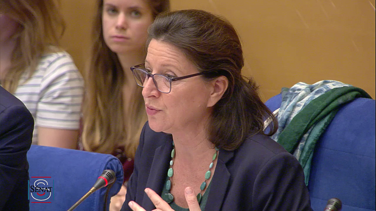 Agnès Buzyn, lors de son audition le 15 octobre en commission des affaires sociales du Sénat.