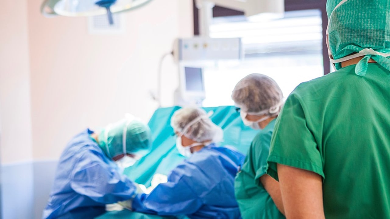 Le projet de décret sur le futur statut des Padhue s'oriente pour l'heure vers un statut de "praticien associé en intégration", attendu en novembre. (Amelie Benoist/BSIP)