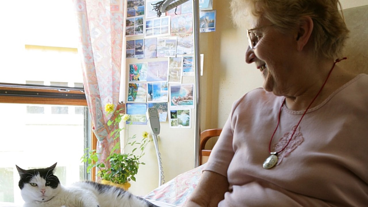 Les résidents des Ehpad ont été les premières cibles de la pandémie Covid-19. (Furgolle/BSIP)