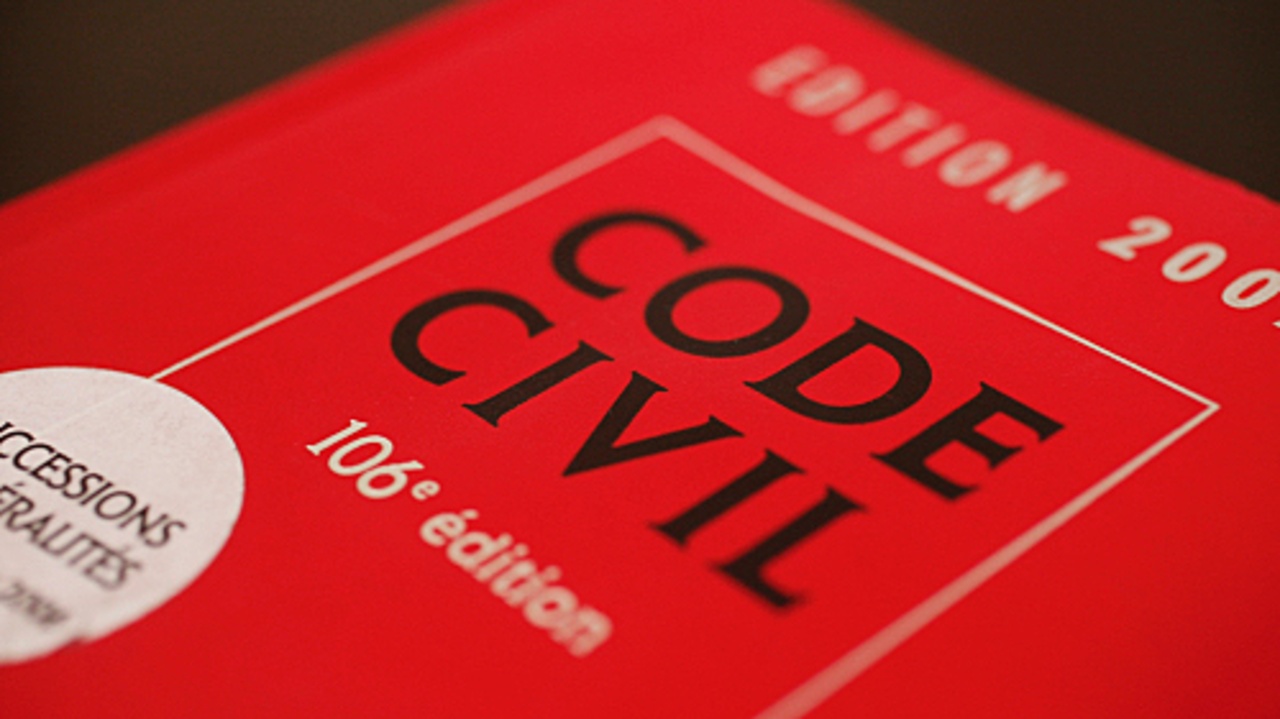 Selon une "estimation basse", pour 1 € dépensé, la protection juridique des majeurs permet 1,5 € de gain socio-économique. (Godong/BSIP)