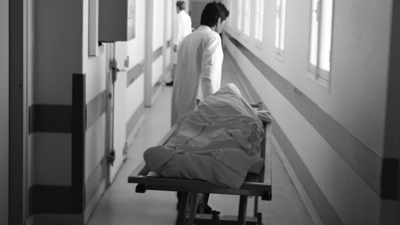 Le groupe de travail chargé de rédiger des recommandations sur le fonctionnement des centres de don du corps a livré ses premières conclusions. (Platriez/BSIP)