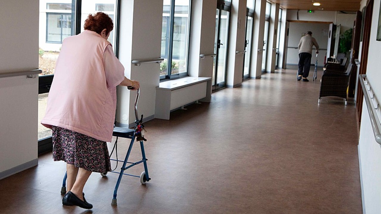 Dans le protocole de retour au droit commun, les sorties ne font plus l'objet de limitation des activités collectives au retour. (Amélie Benoist/BSIP)