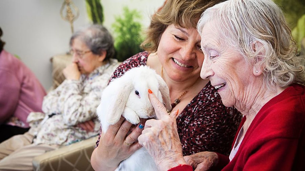 La médiation animale est couramment employée dans les établissements médico-sociaux mais tend à se développer dans les hôpitaux, jusque dans les services de réanimation ou de soins palliatifs. (Amélie Benoist/BSIP)
