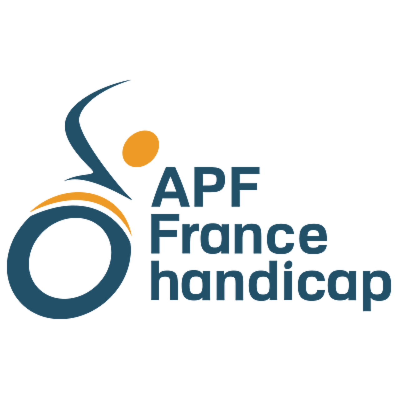 APF France Handicap APF France Handicap