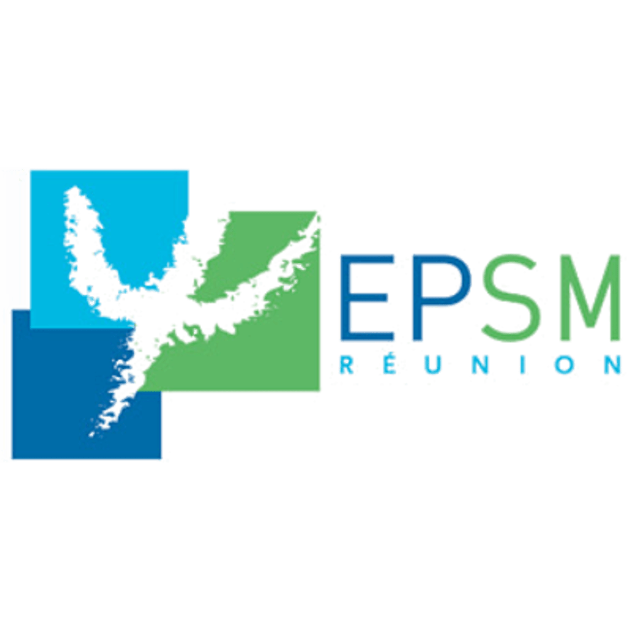 Établissement Public de Santé Mentale de La Réunion EPSMR