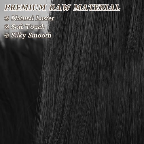 Vue 4 de Barsdar Noir Queue De