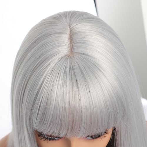 Vue 6 de Perruques Carrees Argentees Avec