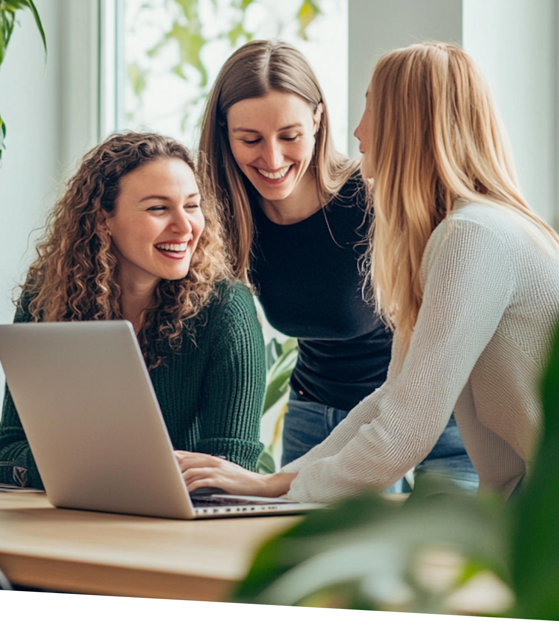 Campaign organization illustration