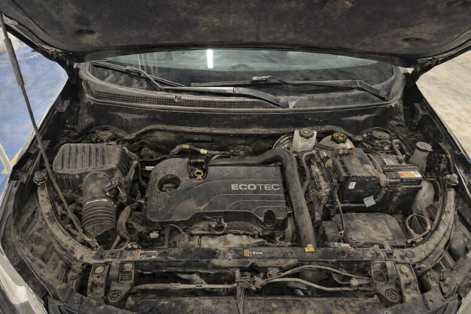 Clean engine bay after engine detail by Prilaman Detail Xperts