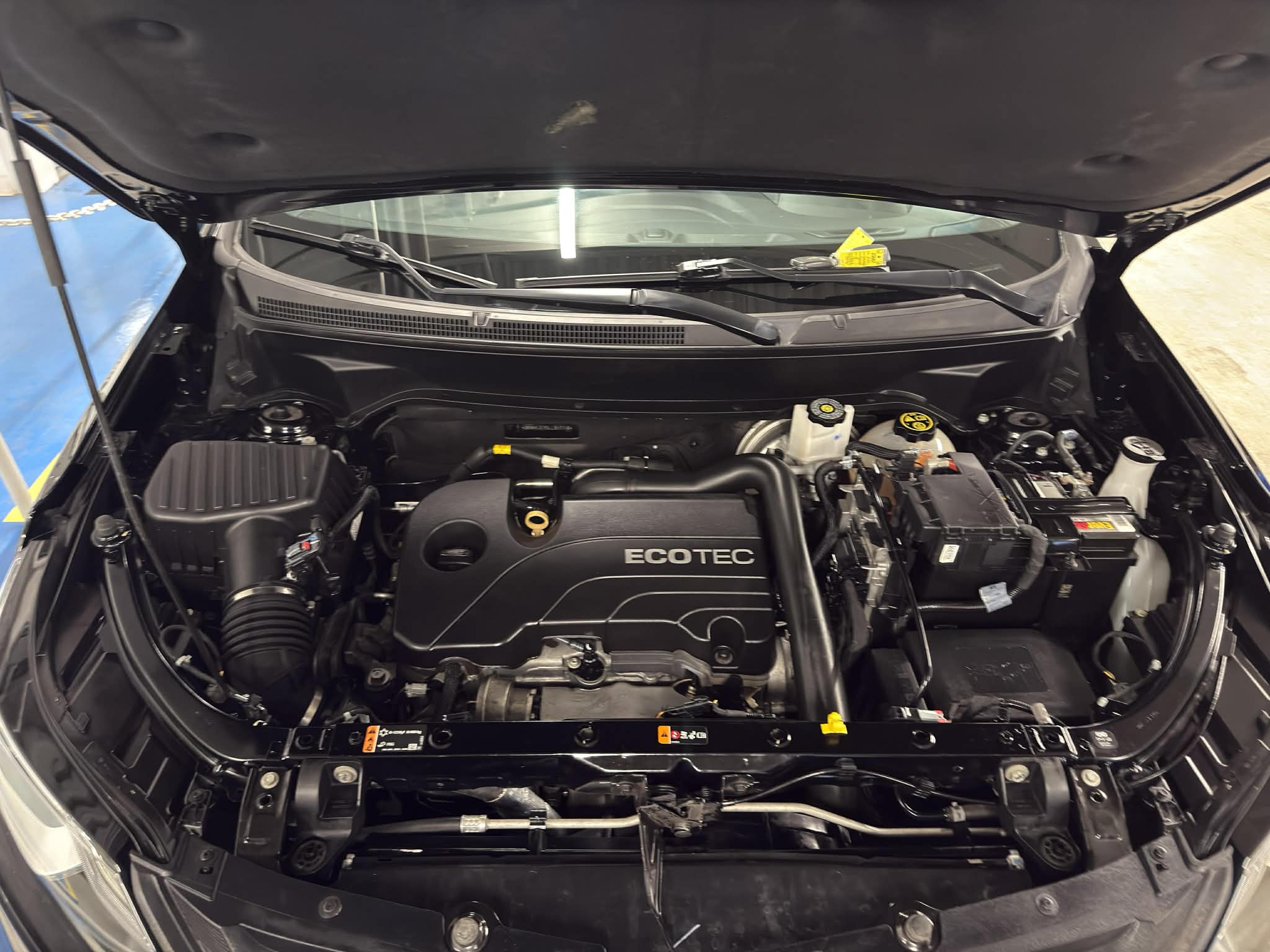 Dirty engine bay before detailing