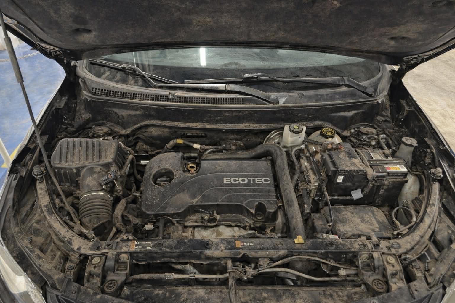 Clean engine bay after detailing