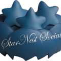 StarNestSocial Logo