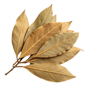 Whole Georgian dried bay leaves — export-grade, deep green, low moisture