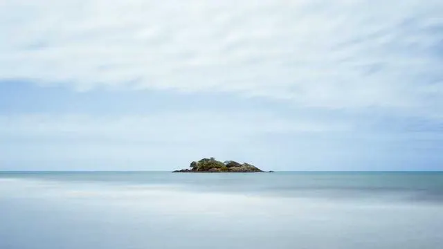 알부민 영양제 선택 시 고려해야 할 점 이미지