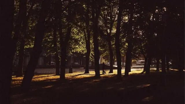 핵심 요약 이미지