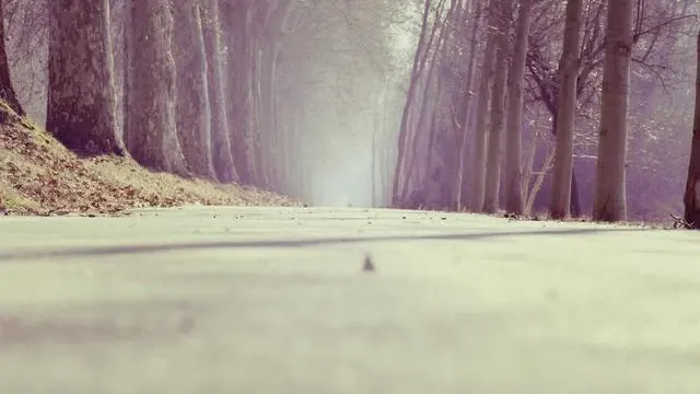 Q&A 프로바이오틱스 유산균 자주 묻는 질문 이미지