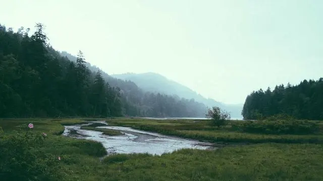 눈 피로 증상과 눈영양제의 효과 이미지