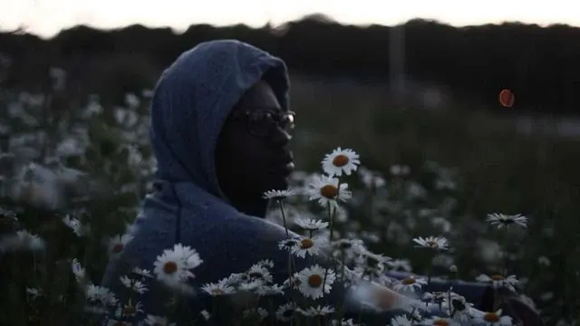 혈당 스파이크와 식후혈당 정상수치의 관계 이미지