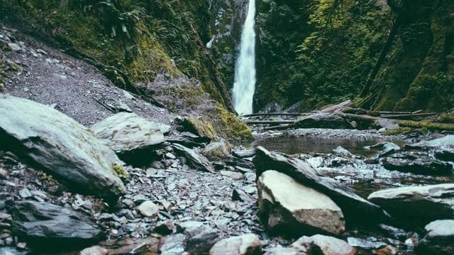 봉와직염과 다른 피부질환 비교 이미지