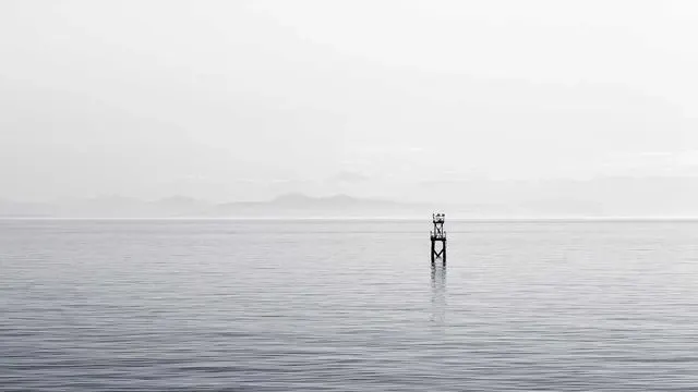 청년도약계좌 유지 전략과 중도 해지 피하는 방법 이미지