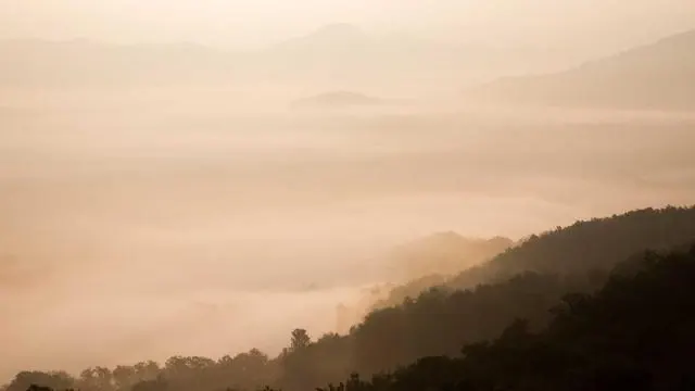 농식품바우처 활용 팁과 건강한 식단 구성법 이미지