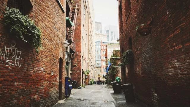 핵심 요약 이미지