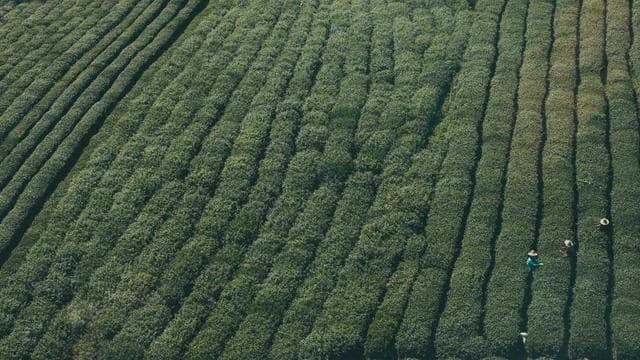 신협 조합원 가입 방법과 유니온정기예탁금 연계 활용법 이미지