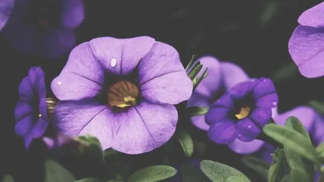 나이별 저혈압 수치와 관리법 이미지